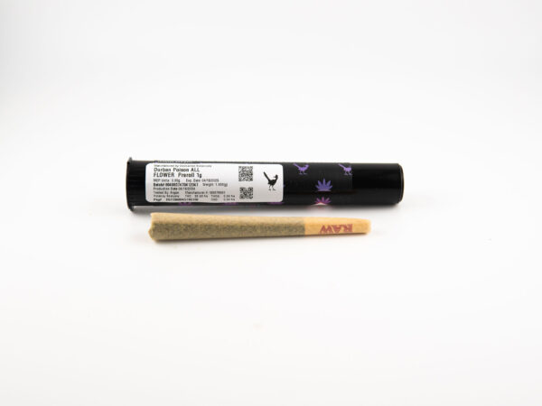 EB Durban Poison Preroll 1g