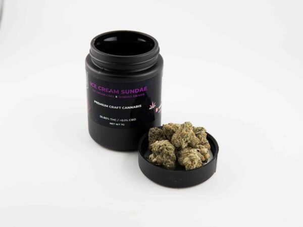 SB Ice Cream Sundae 7g