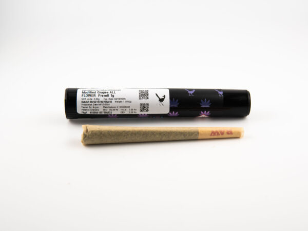 EB Modified Grapes Preroll 1g