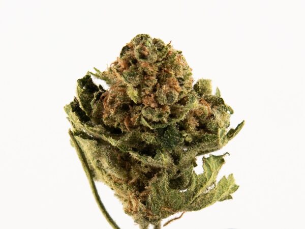 S420 - Super Lemon OG - 1g